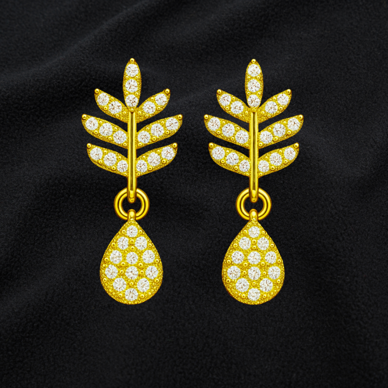 ২পিস চেইন+কানের দুল+আংটি