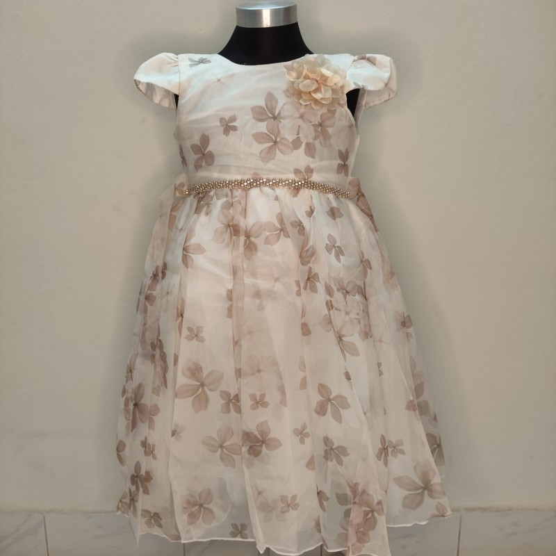 Girls Party Frock